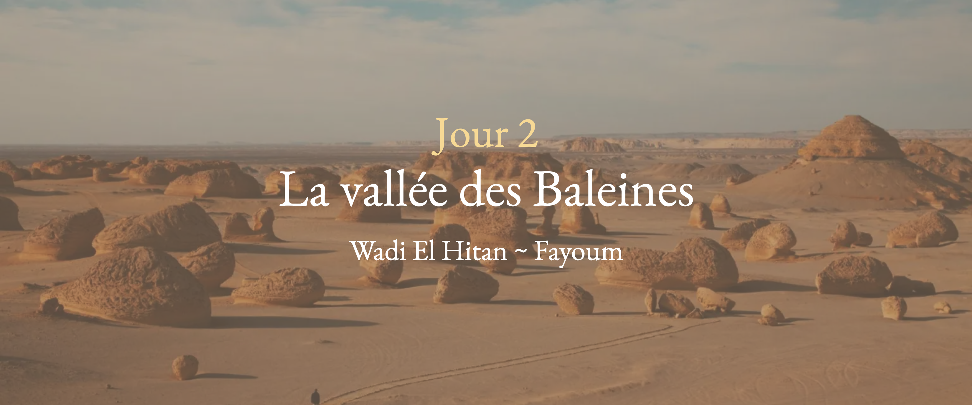 Jour 2 - Vallée des Baleines
